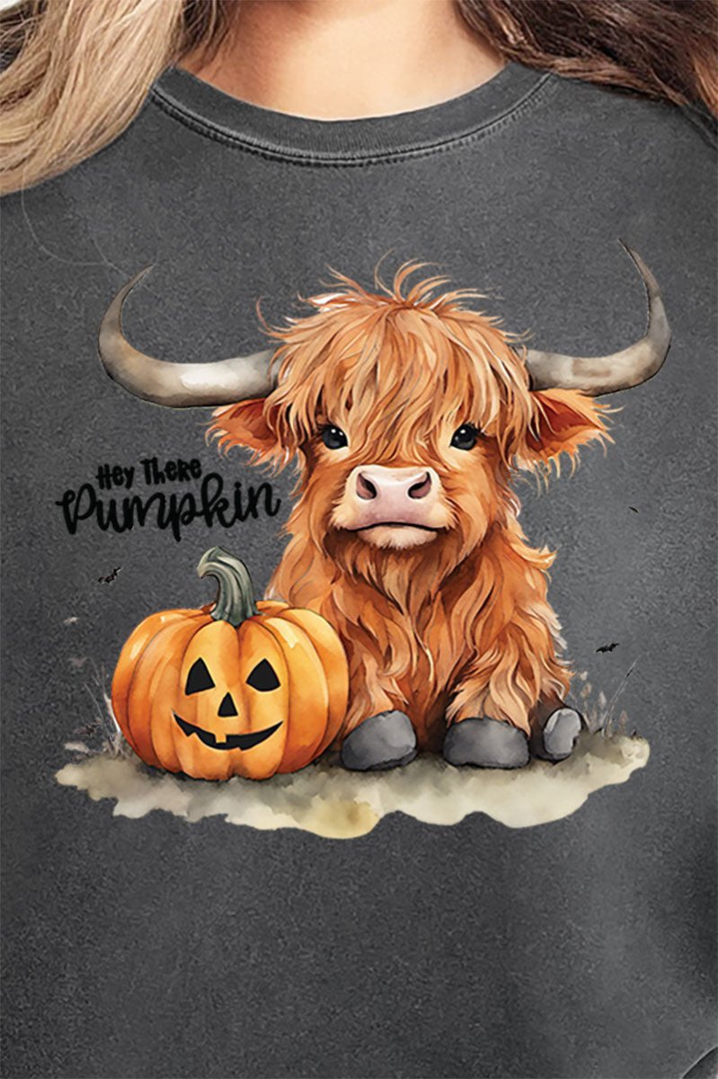 Hey There Pumpkin Highland Cow Comfort Colors Adult Ring - Spun Cotton Tee - Wholesale Accessory Market