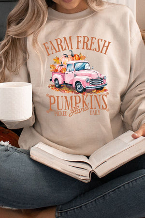 Farm Fresh Pink Pumpkins Heavy - weight Crew Sweatshirt - Wholesale Accessory Market