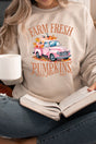 Farm Fresh Pink Pumpkins Heavy - weight Crew Sweatshirt - Wholesale Accessory Market