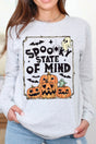 Spooky State Of Mind Heavy Cotton Long Sleeve Adult T-Shirt - Wholesale Accessory Market