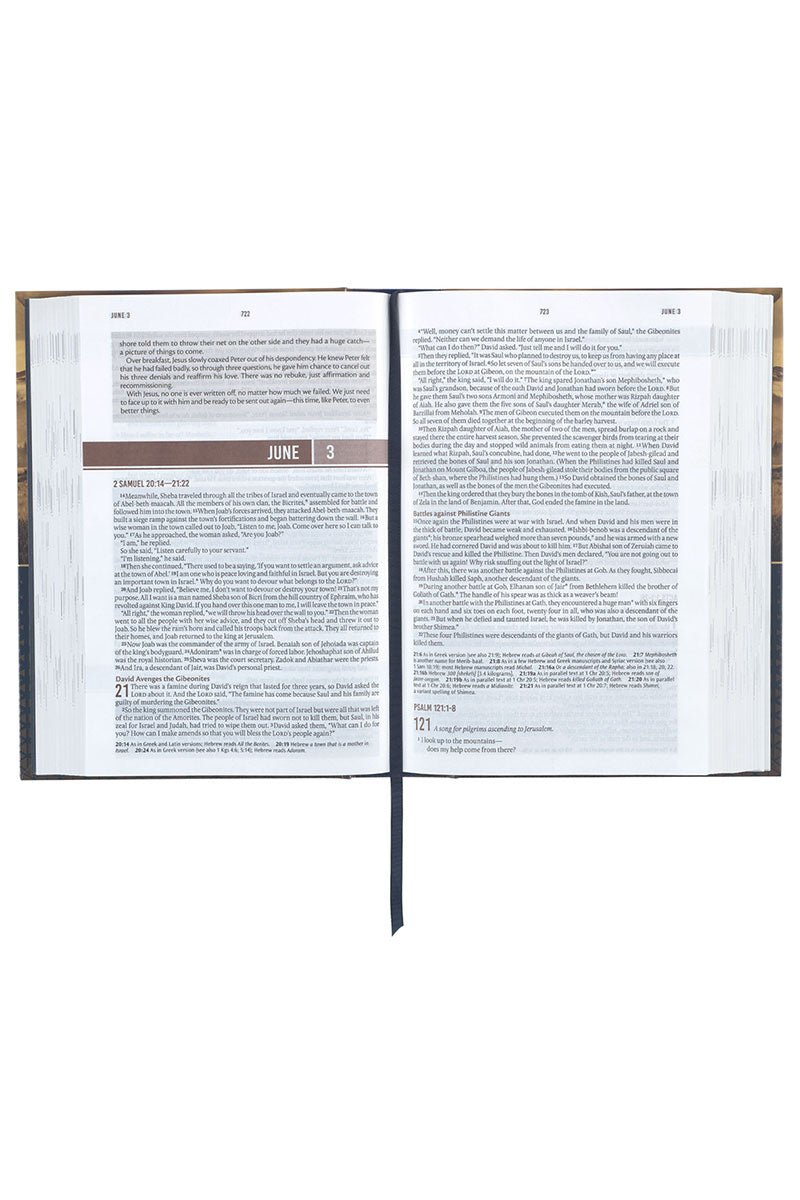 Gold and Navy Mountain View Hardcover NLT Everyday Devotional Bible for Men - Wholesale Accessory Market