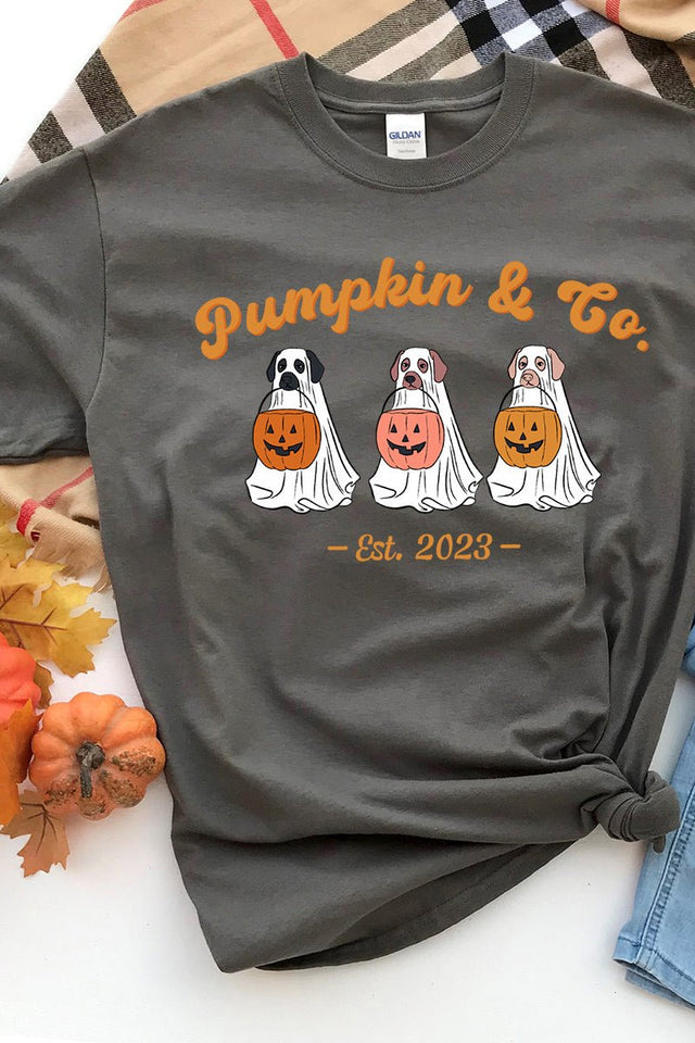 Pumpkin & Co Short Sleeve Relaxed Fit T-Shirt - Wholesale Accessory Market