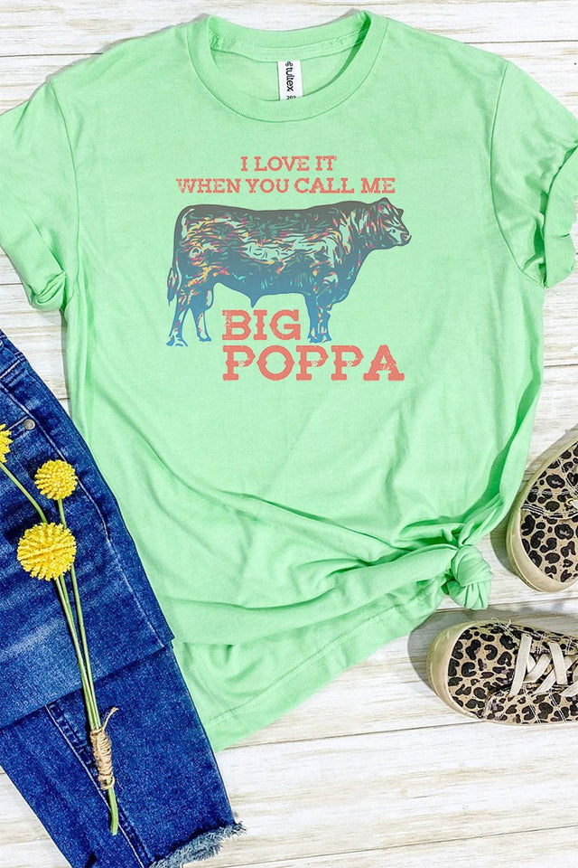 Big Poppa Unisex Blend Tee - Wholesale Accessory Market