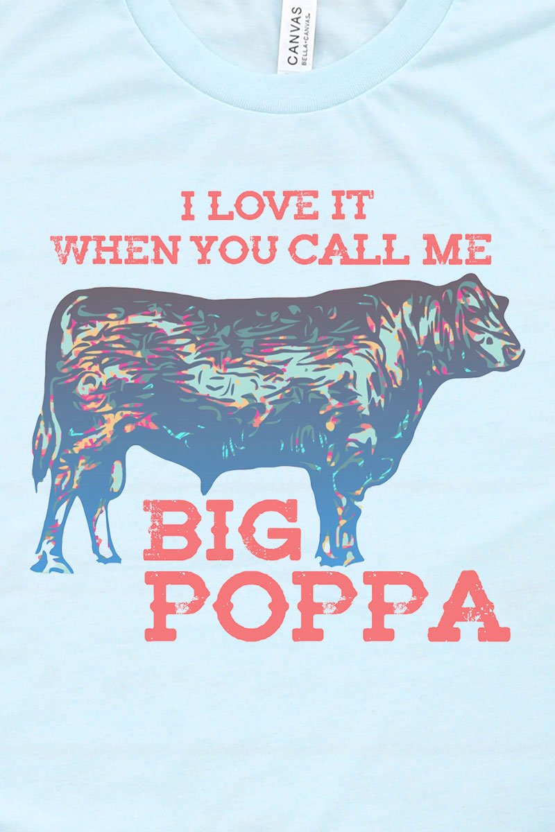 Big Poppa Tri-Blend Short Sleeve Tee - Wholesale Accessory Market