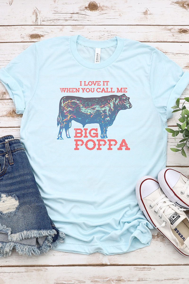 Big Poppa Tri-Blend Short Sleeve Tee - Wholesale Accessory Market