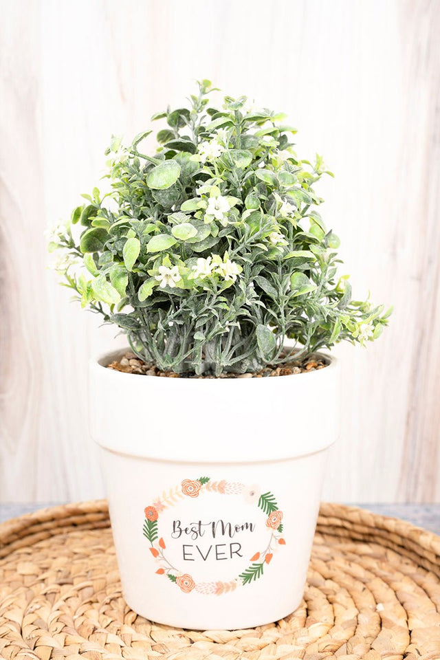 10 x 5.5 'Best Mom Ever' Ceramic Artificial Potted Plant - Wholesale Accessory Market