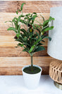 Artificial Potted Olive Tree, 18" - Wholesale Accessory Market