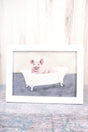 9 x 12 Hog-Wash Wall Art - Wholesale Accessory Market