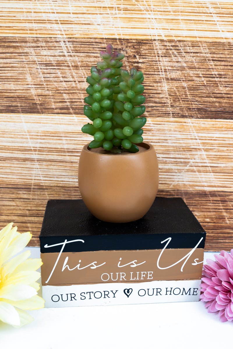 8 x 5 'This Is Us' Book Planter with Artificial Succulent - Wholesale Accessory Market