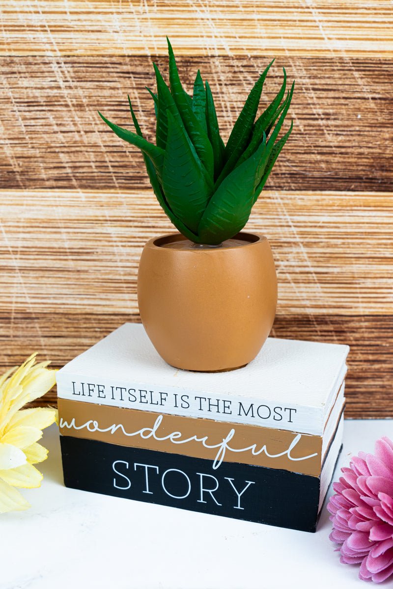 8 x 5 'Wonderful Story' Book Planter with Artificial Succulent - Wholesale Accessory Market