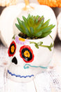 4.5 x 3.5 Diego Sugar Skull Ceramic Planter with Artificial Succulent - Wholesale Accessory Market