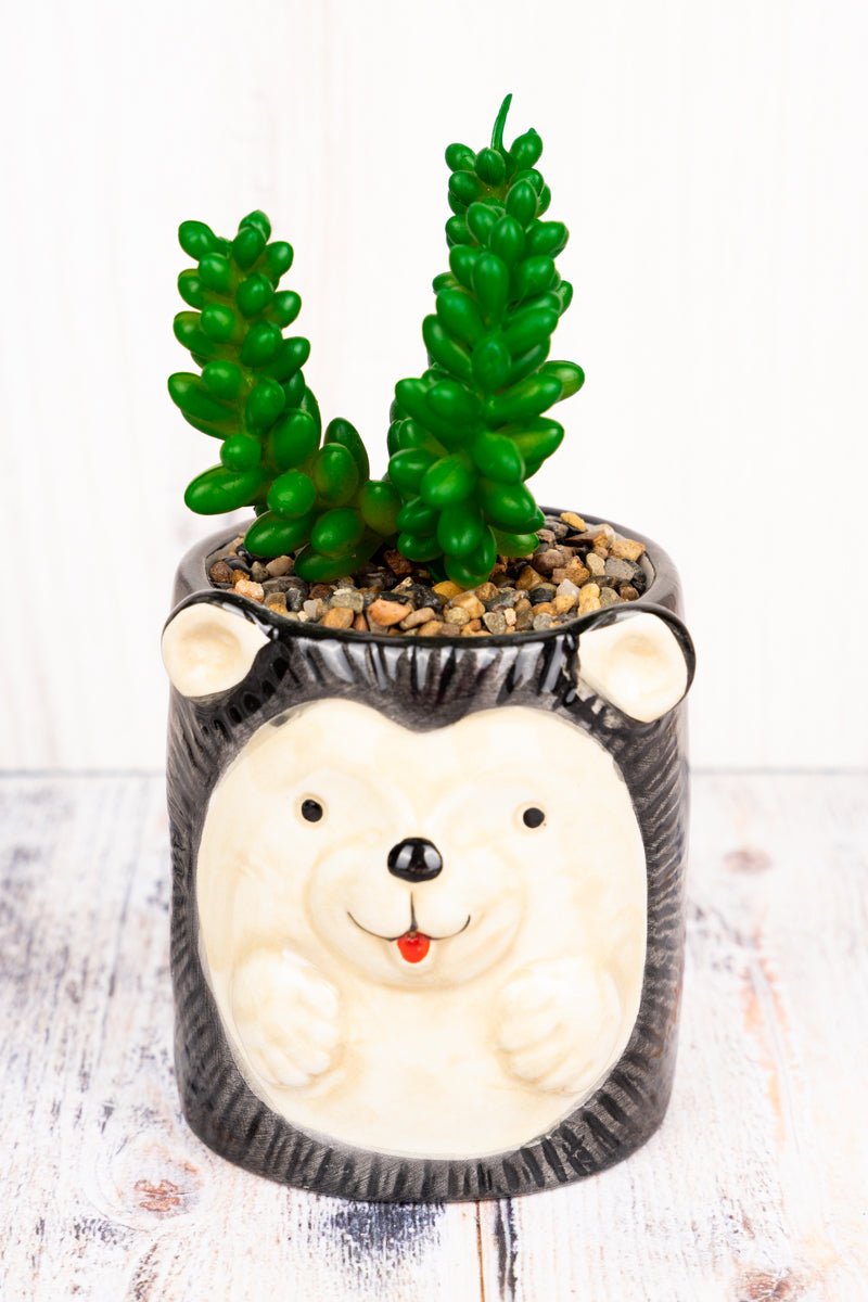 6 x 3.5 Autumn Hedgehog Ceramic Planter with Artificial Succulent - Wholesale Accessory Market