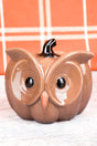 4.75 x 5.5 Fall's A Hoot Ceramic Owl Pumpkin - Wholesale Accessory Market